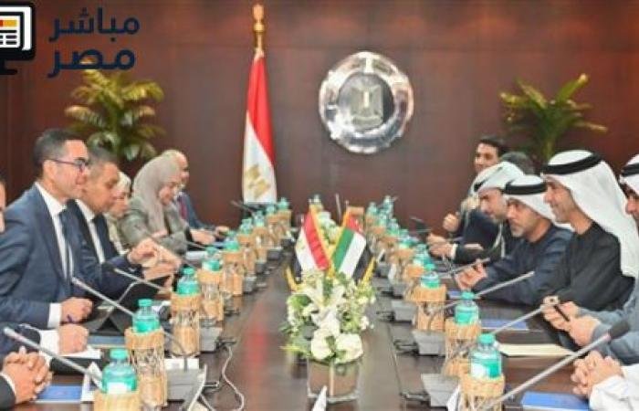 مباحثات مصرية إماراتية لتعزيز التعاون التجاري والاستثماري بين البلدين