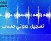 تسريب صوتي يهز مركز المحلة لمرشح بالإعادة في انتخابات
